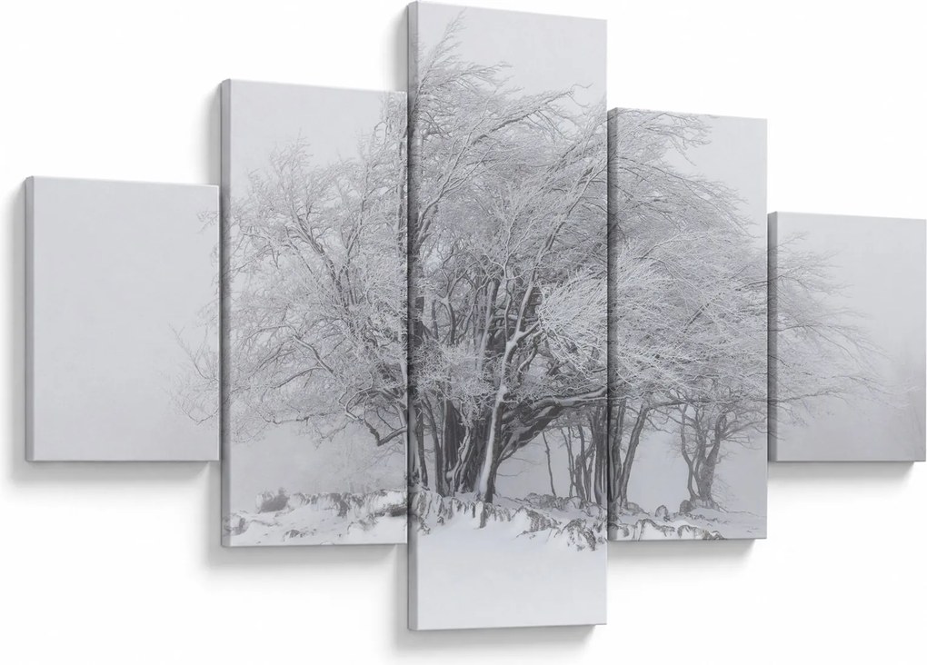Obraz - Biała zima (125x70 cm)