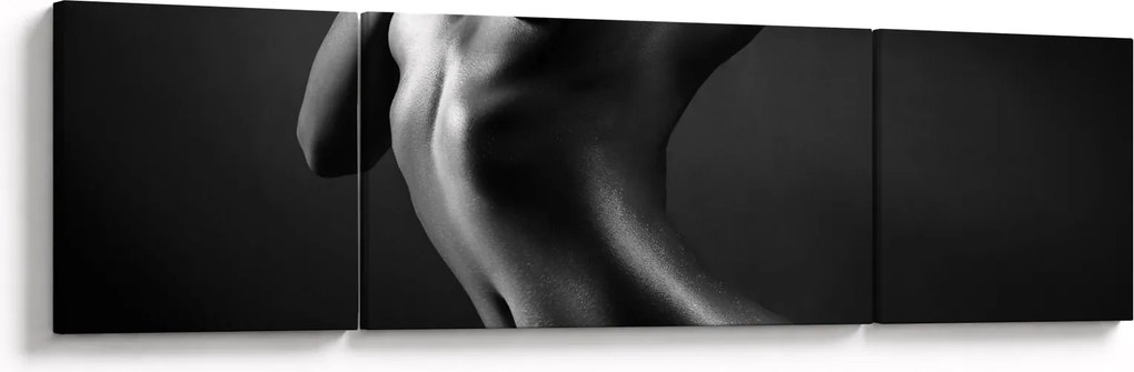 Obraz - Nagie kobiety (170x50 cm)