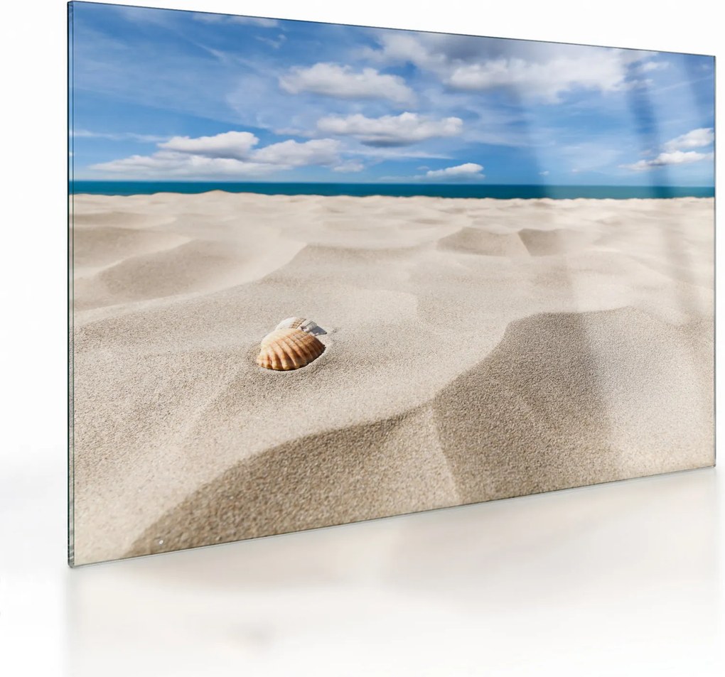 Obraz na szkle - Muszle na plaży (70x50 cm)