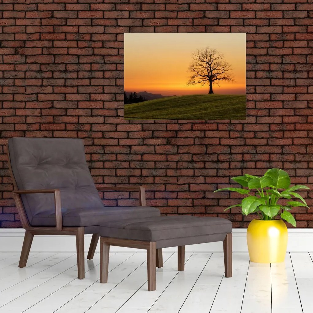 Obraz na szkle - zachód słońca na łące (70x50 cm)