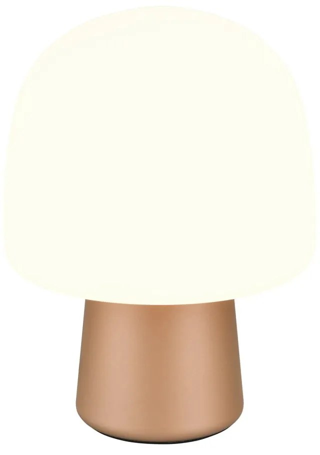 Biało-brązowa lampa stołowa ze szklanym kloszem (wysokość 27 cm) Steen – Trio