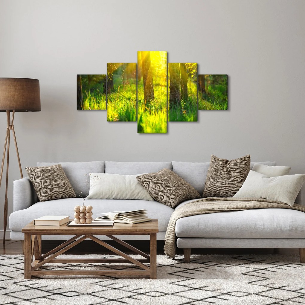 Obraz - Wiosenne przebudzenie lasu (125x70 cm)