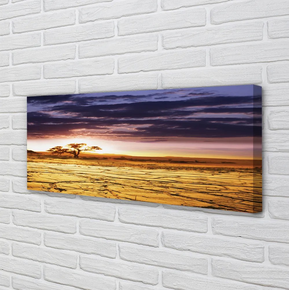 Fotoobraz na płótnie Chmury i Drzewa na Niebie