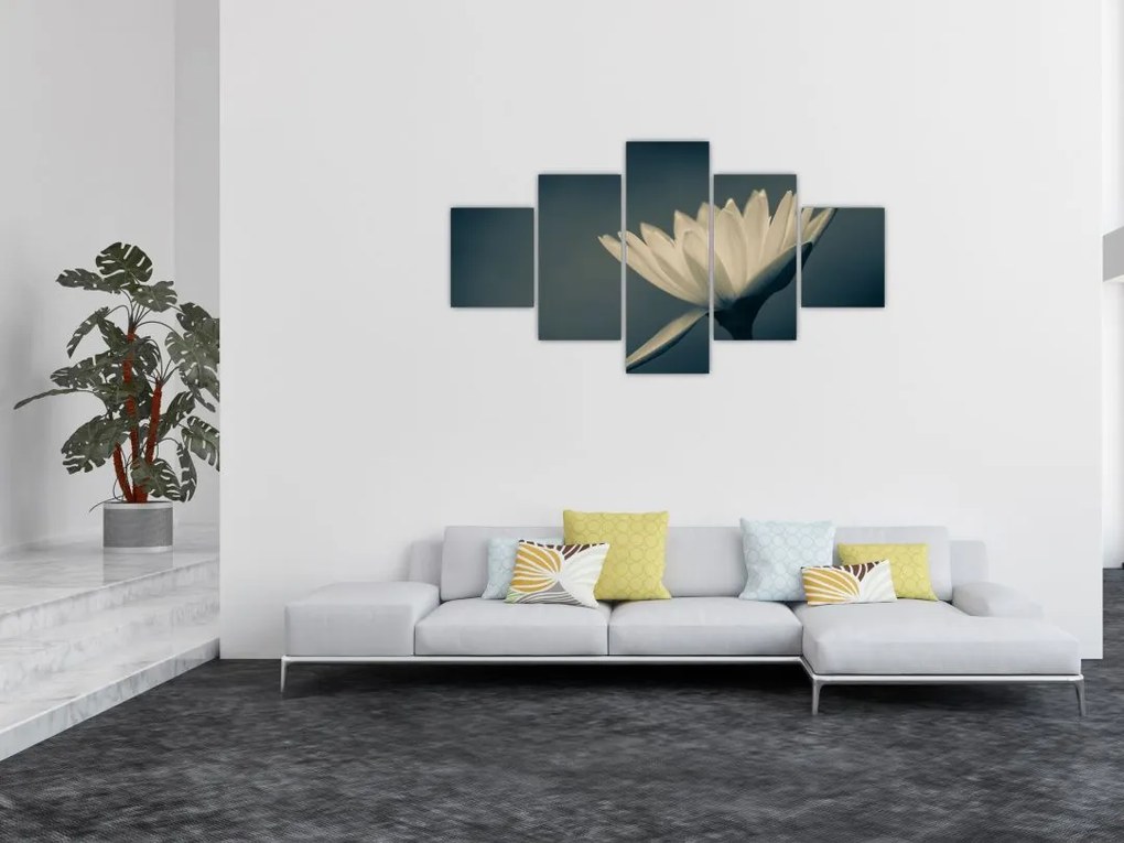 Obraz kwiatu (125x70 cm)