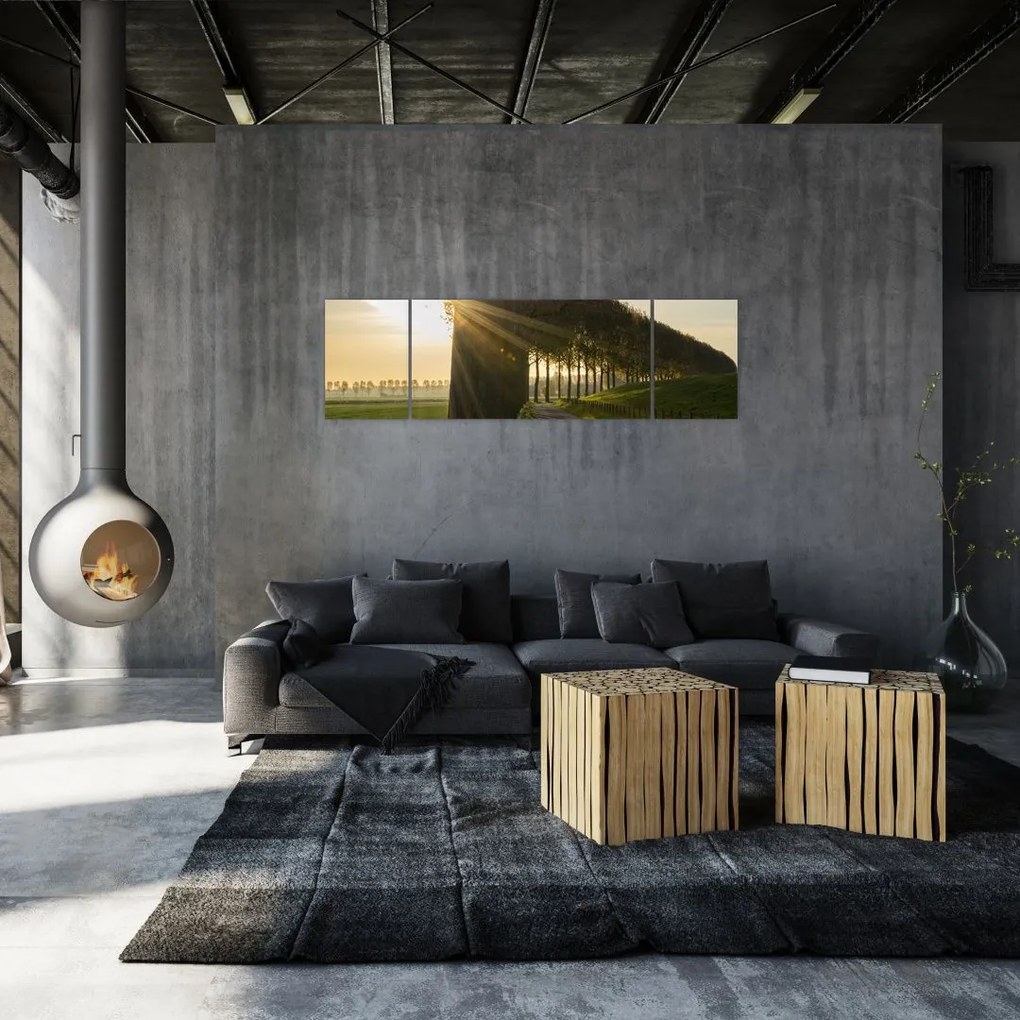 Obraz alei (170x50 cm)
