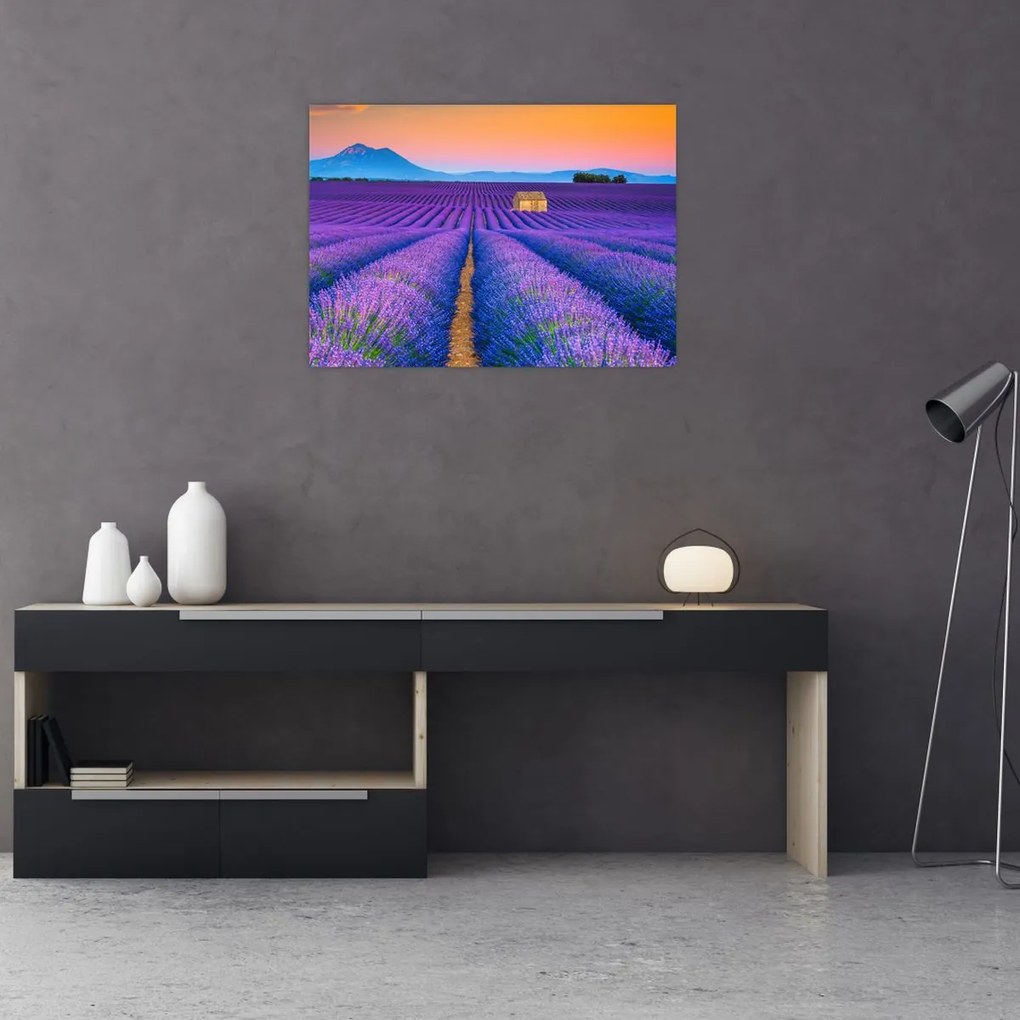 Obraz - Lewndowe pole (70x50 cm)