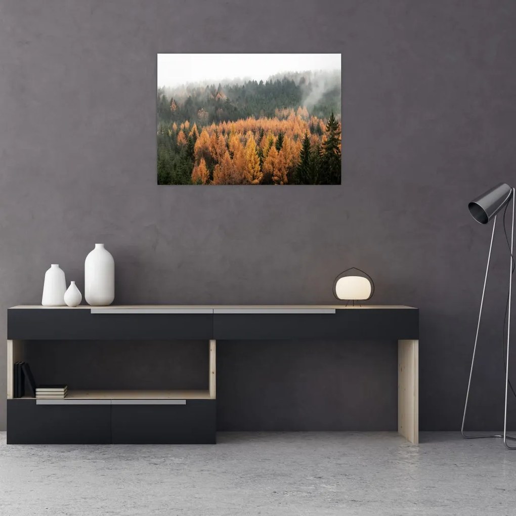 Obraz - Jesienny las (70x50 cm)