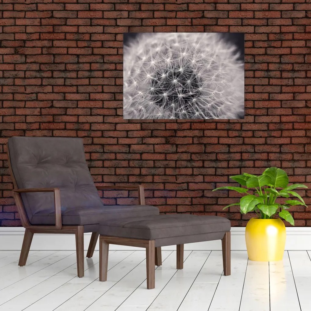 Obraz na szkle dmuchawca (70x50 cm)