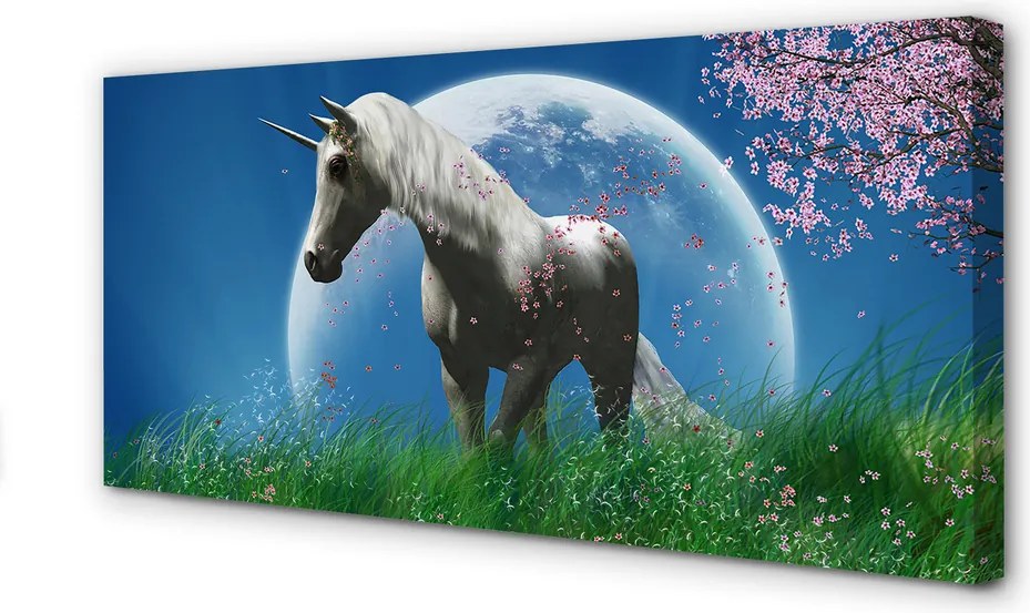 Zdjęcie na płótnie Jednorożec na Polu przy Księżycu
