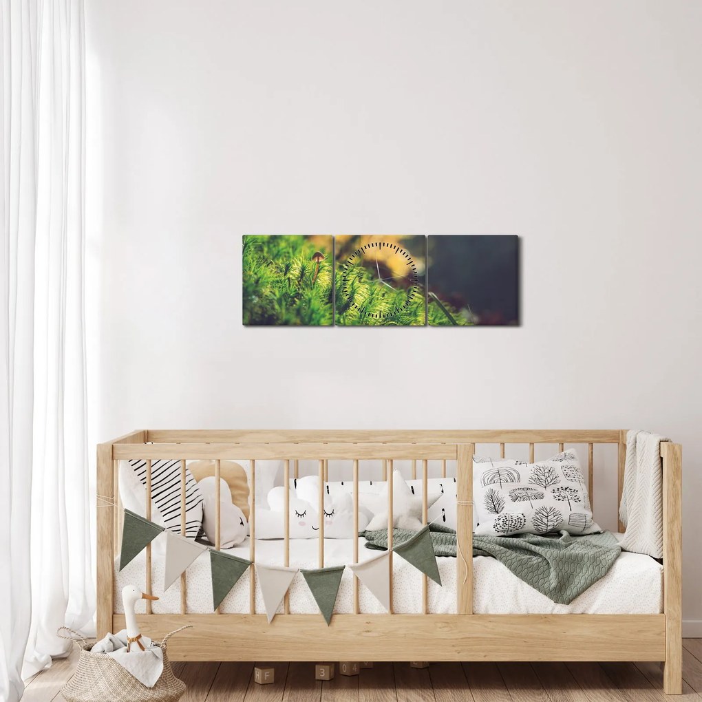 Obraz mchu z grzybem (z zegarem) (90x30 cm)