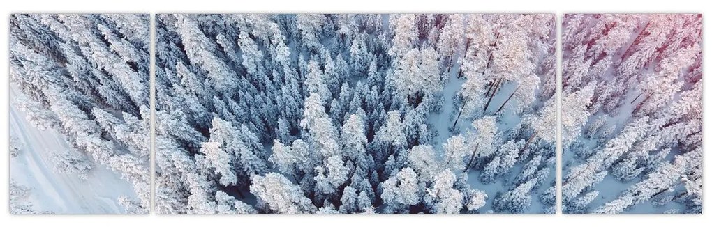 Obraz ośnieżonych drzew (170x50 cm)