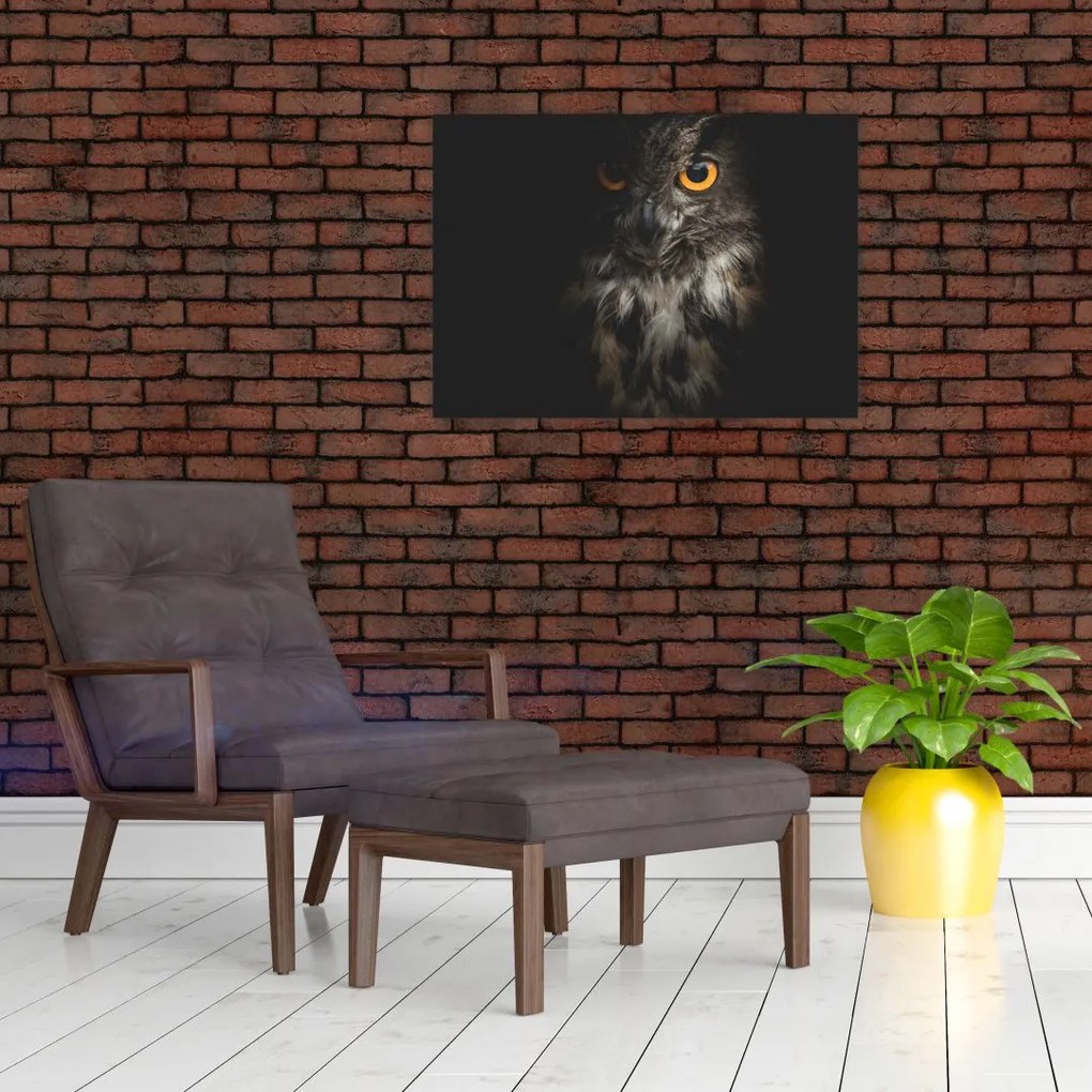 Obraz sowy (70x50 cm)