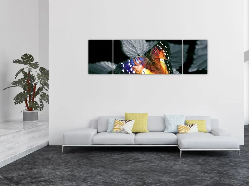 Obraz motyla (170x50 cm)