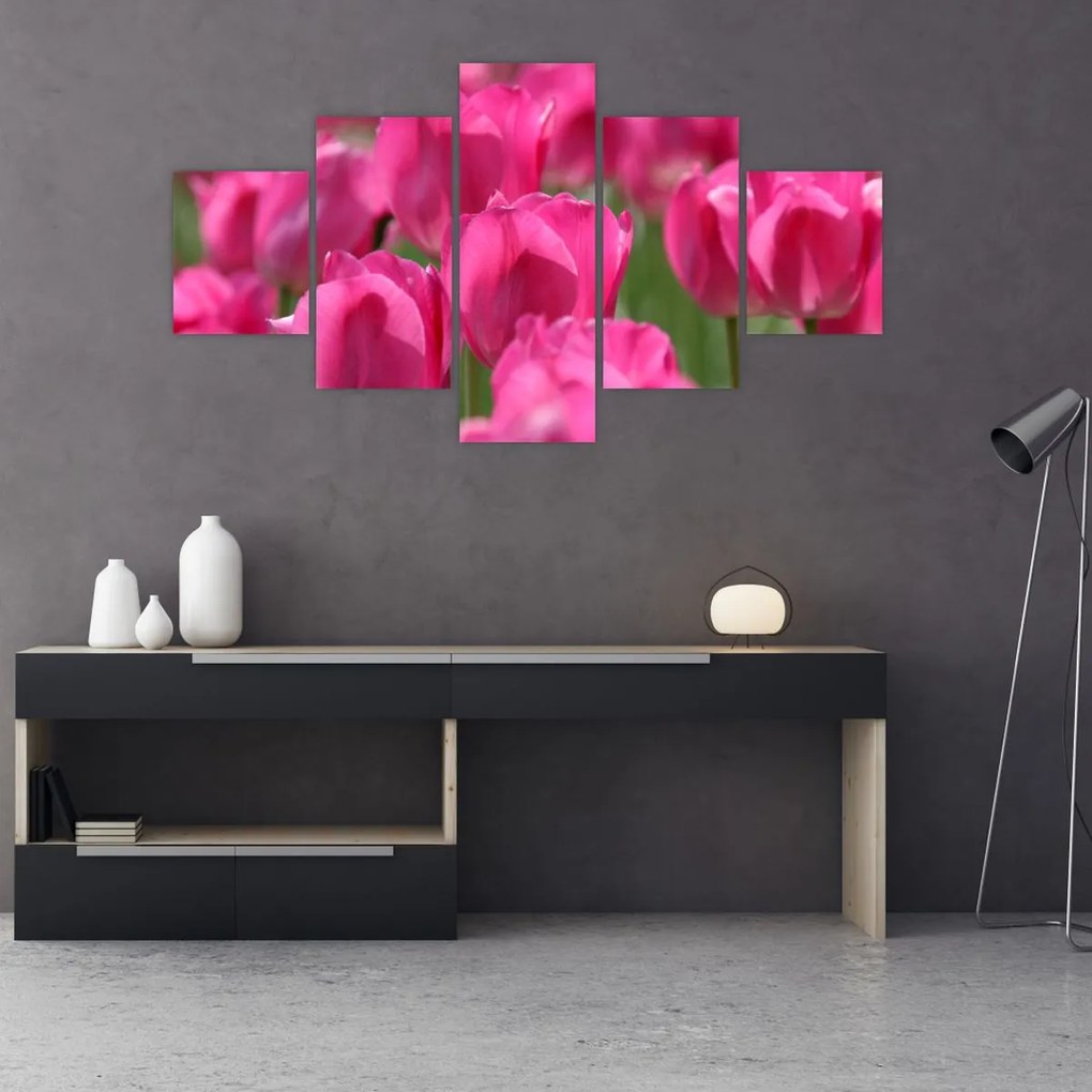Obraz - Różowe tulipany (125x70 cm)