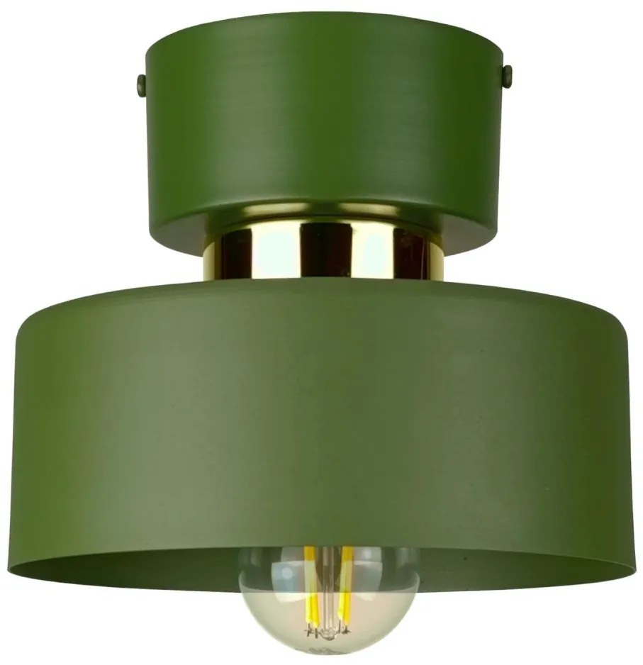 Lampa sufitowa IGNIA 1xE27/60W/230V zielona/złota