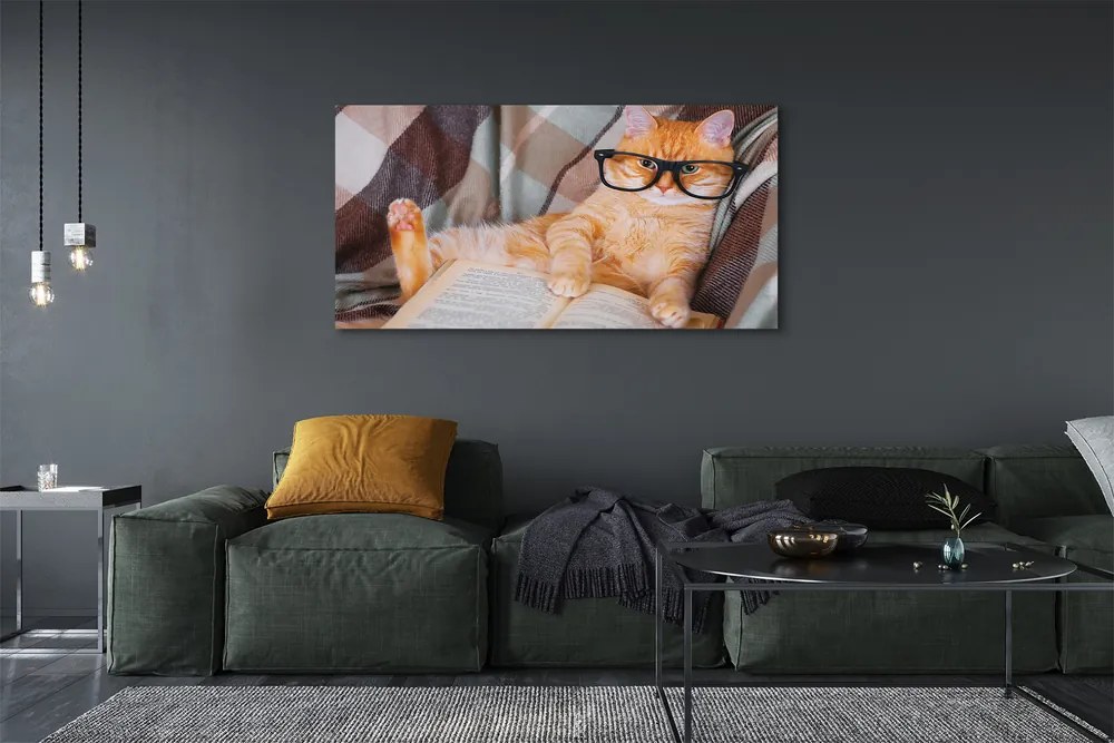 Zdjęcie na płótnie Kot "Czytający" Książkę