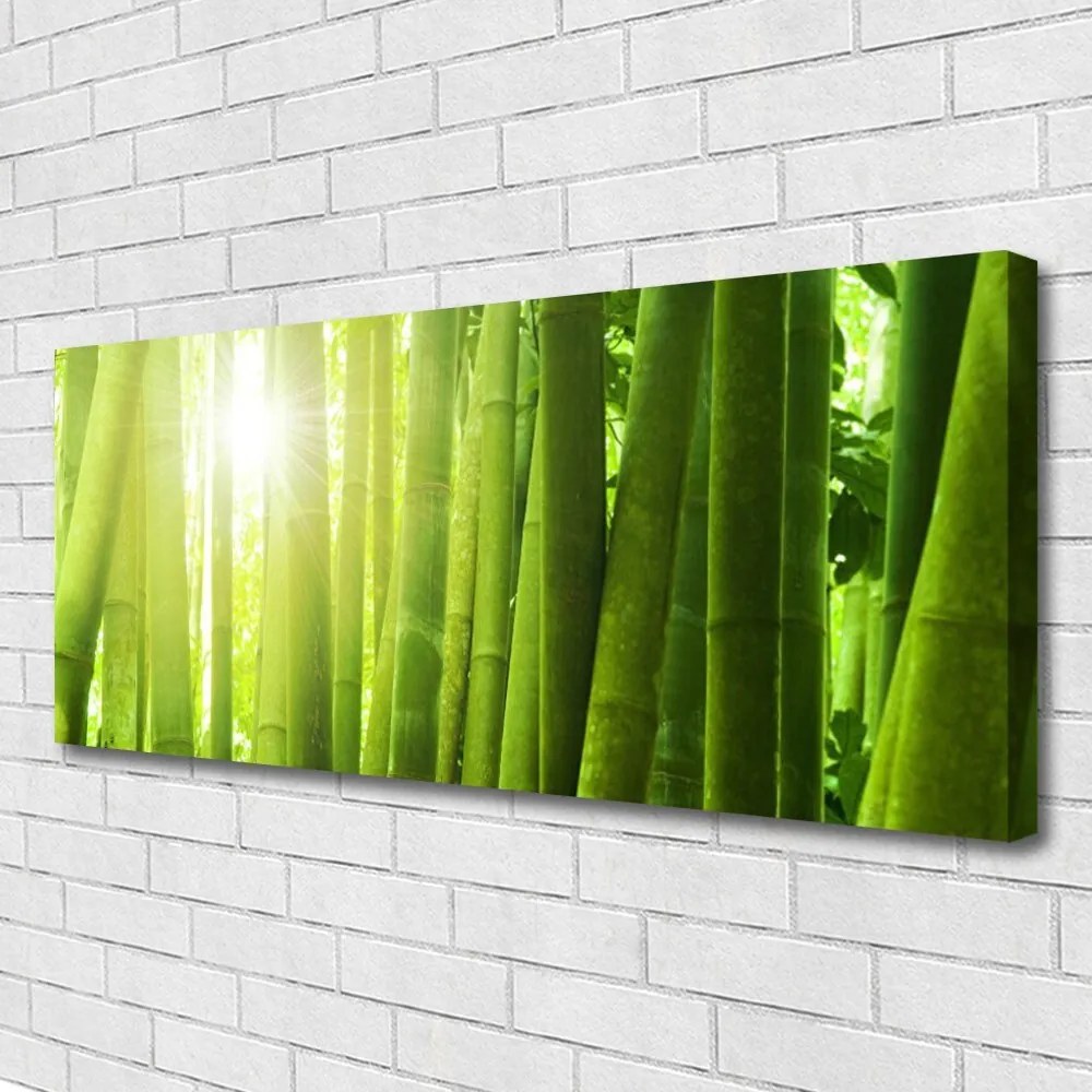 Obraz na płótnie Świeżość Zielonego Bambusa