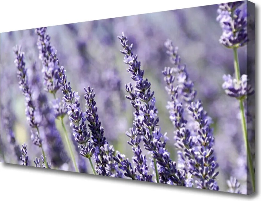 Obraz canvas Natura w Pełnym Rozkwicie