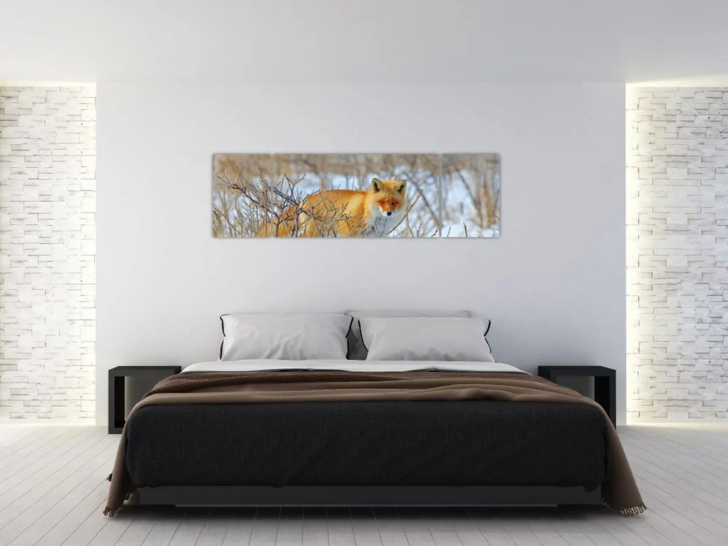 Obraz - Lis (170x50 cm)