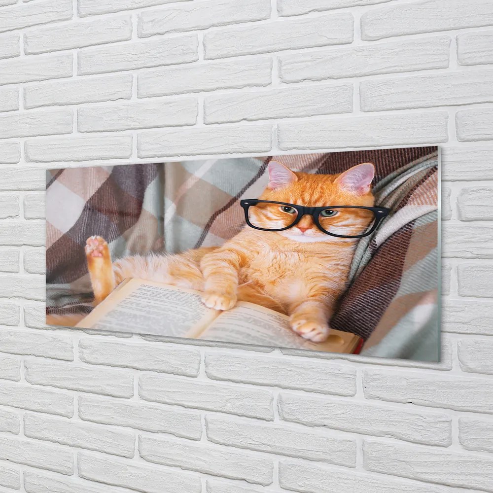 Panel Szklany Inteligentny Kot Bibliofil