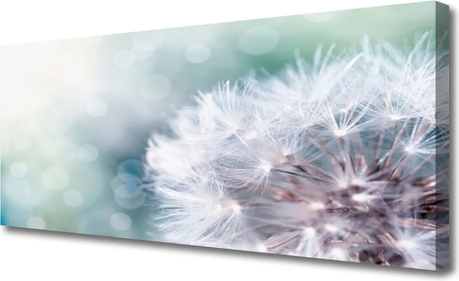 Obraz na płótnie Złocisty Mniszek na Wietrze