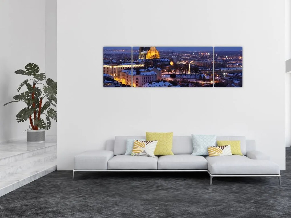 Obraz - Katedra św. Piotra i Pawła, Brno, Czechy (170x50 cm)