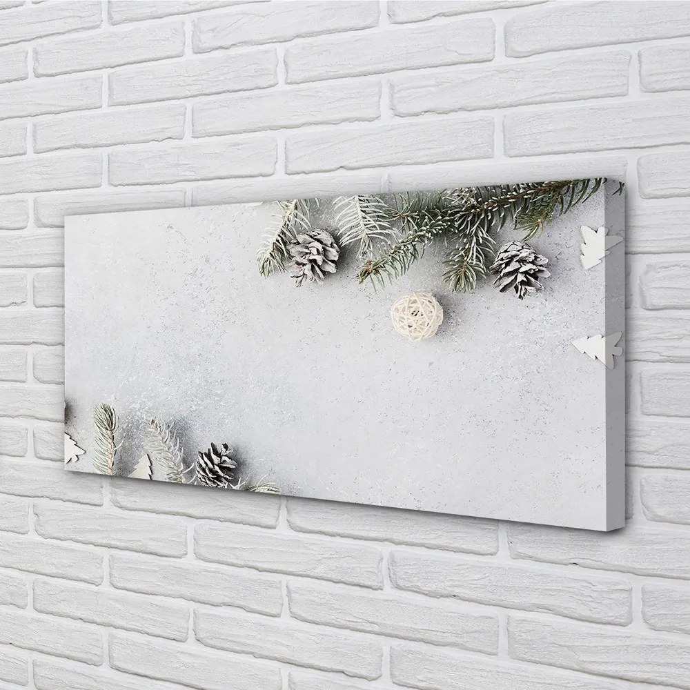 Obraz na płótnie Gałązki i Szyszki