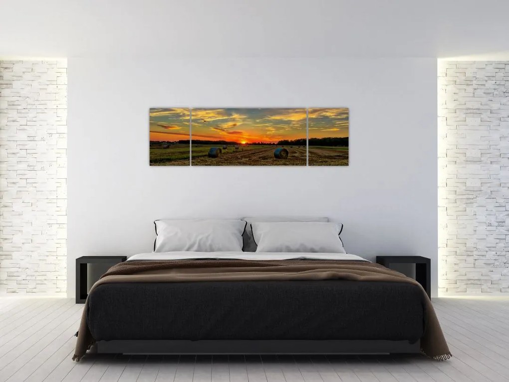 Obraz - Wiejskie bale (170x50 cm)