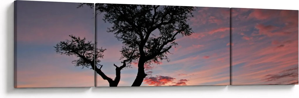 Obraz - Drzewo i czerwonawe odcienie (170x50 cm)