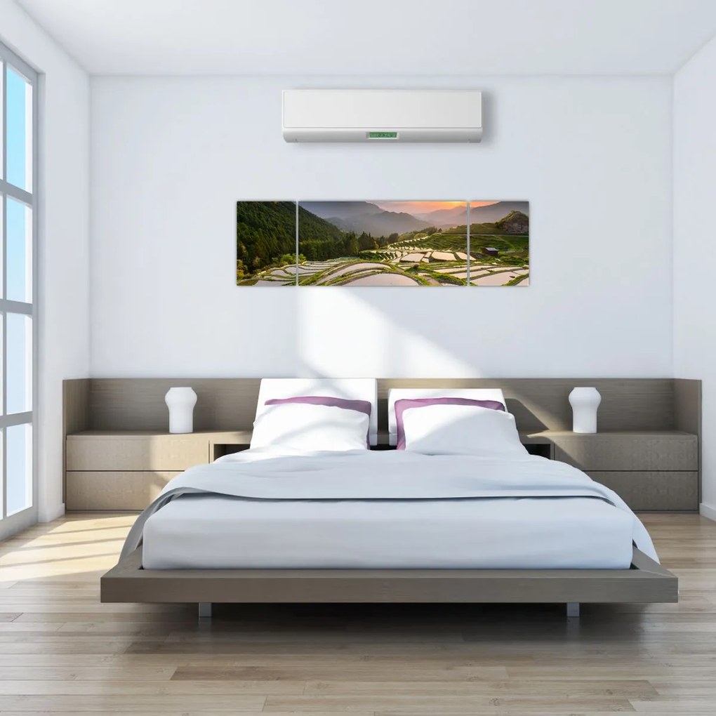 Obraz - Tarasy ryżowe (170x50 cm)