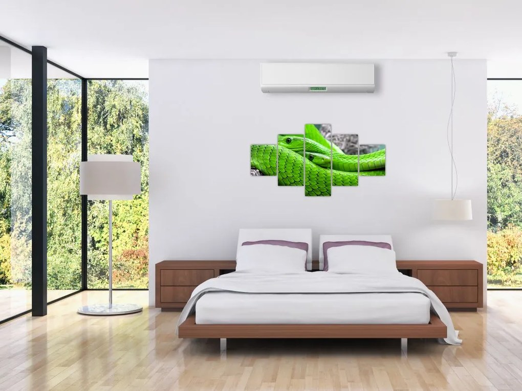 Obraz zielonych węży (125x70 cm)