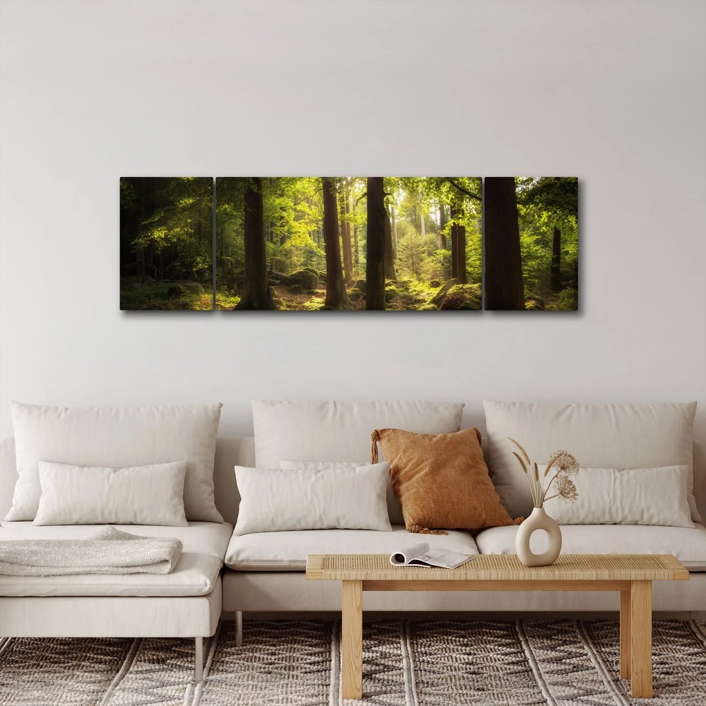 Obraz sennego lasu (170x50 cm)