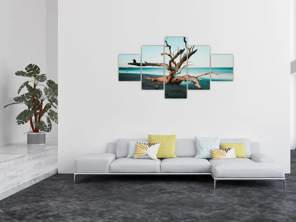 Obraz -  Wyłowiono na plaży (125x70 cm)
