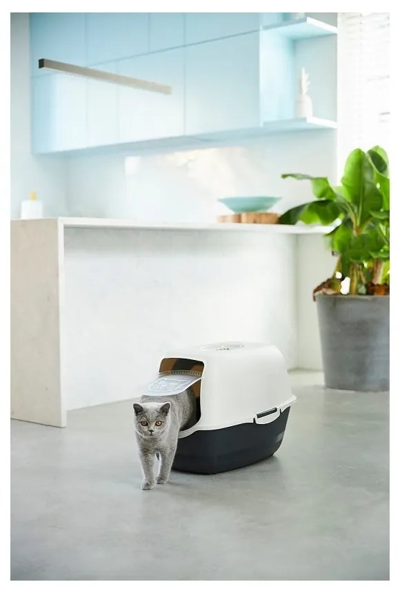 Kuweta dla kota 56x40 cm Eco Bailey – Rotho