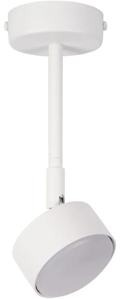 Żyrandol na drążku NEMO 1xGX53/12W/230V 24 cm biały