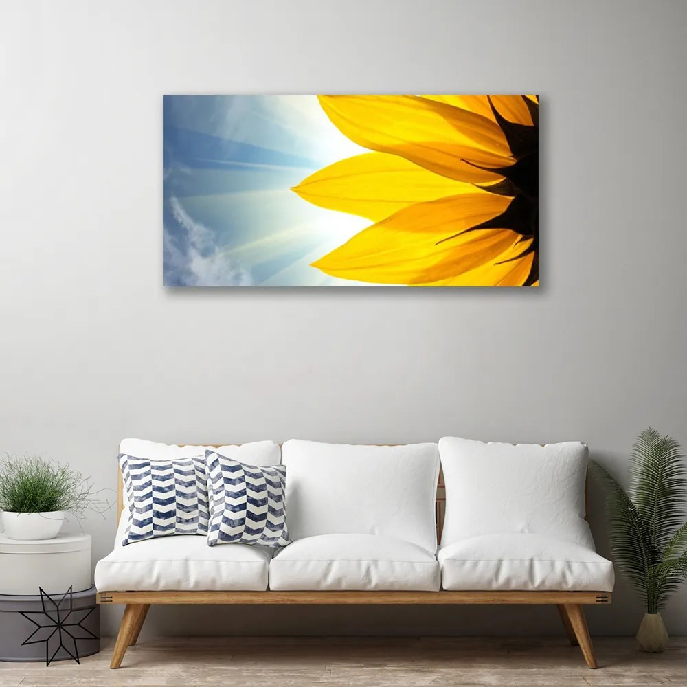 Obraz na płótnie Delikatne Płatki Kwiatowe