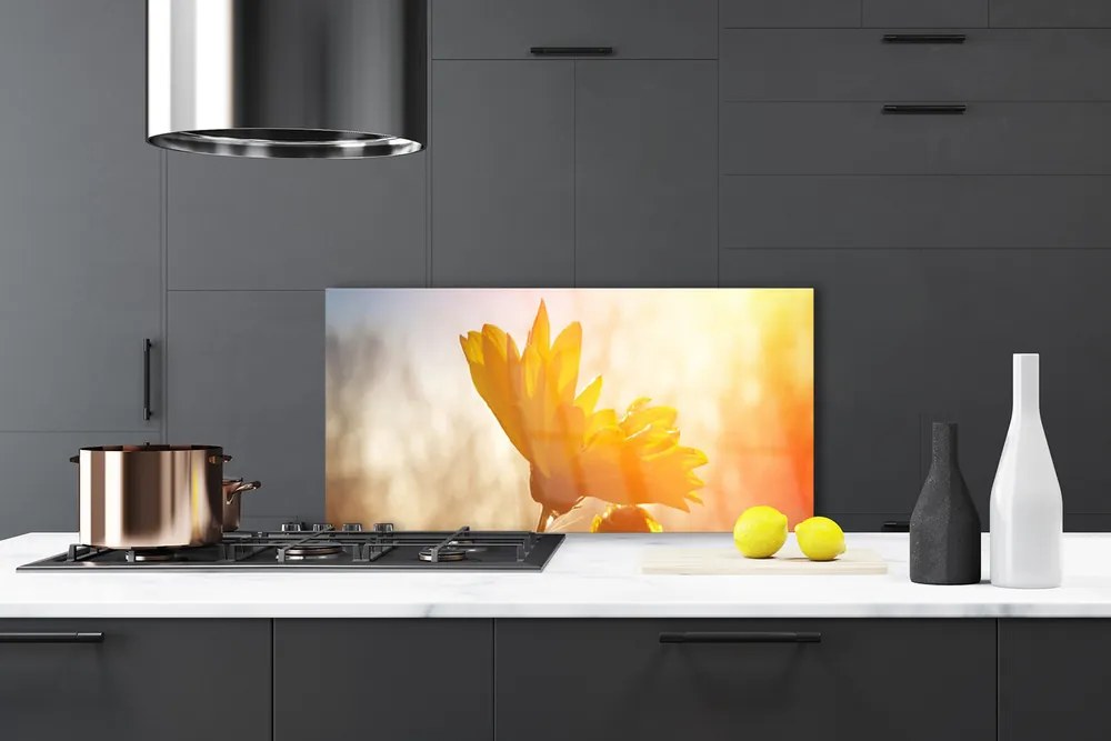 Szkło do Kuchni na Ścianę Złoty Słonecznik W Słońcu