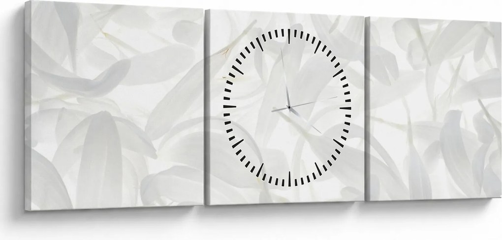 Obraz - Płatki (z zegarem) (90x30 cm)