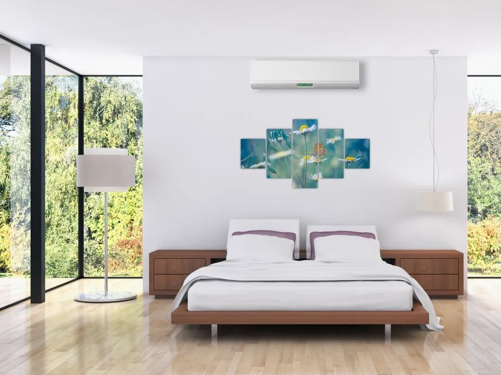 Obraz - Motyl na stokrotce (125x70 cm)