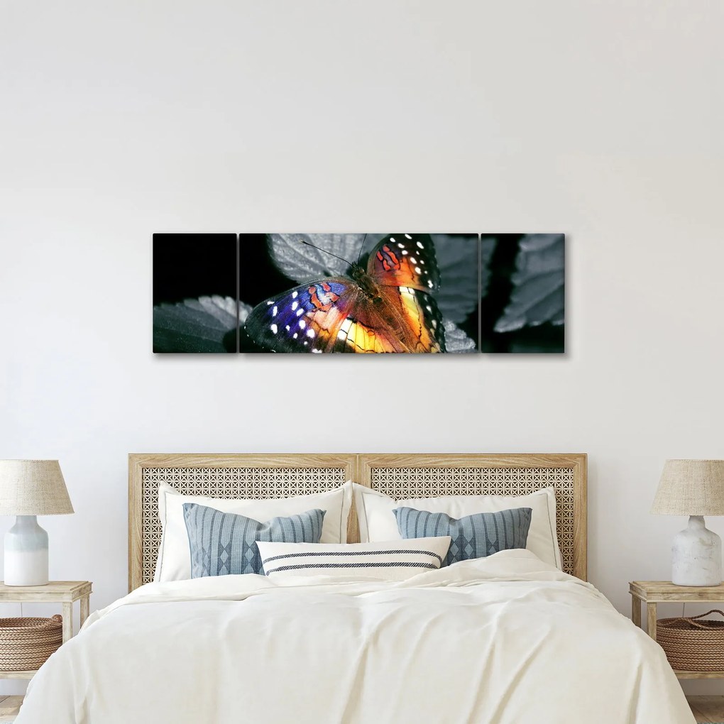 Obraz motyla (170x50 cm)