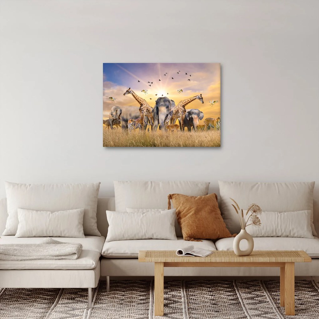 Obraz - Afrykańskie zwierzęta (70x50 cm)