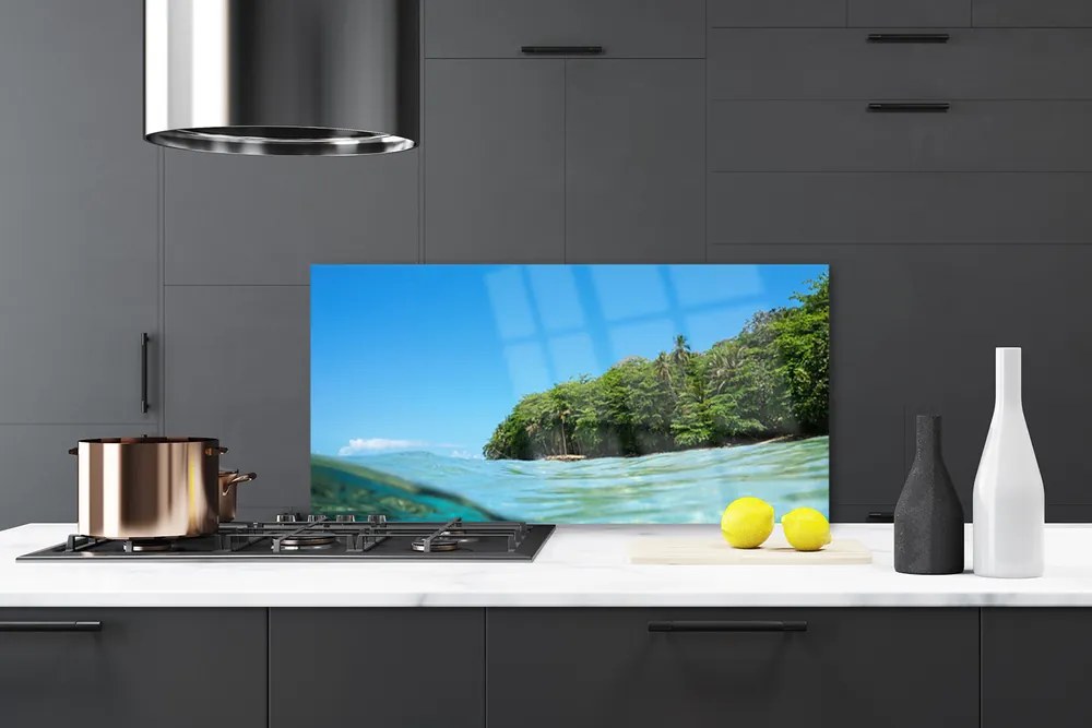 Panel Szklany Samotne Drzewo nad Morzem