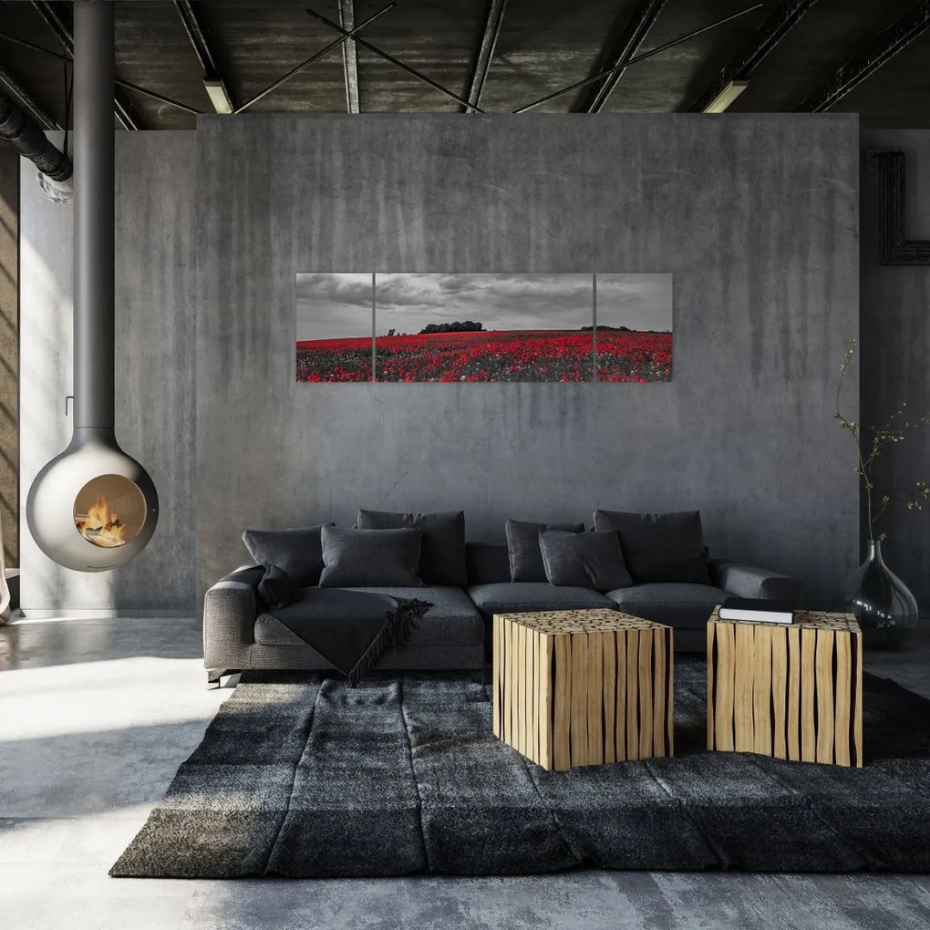 Obraz maków (170x50 cm)