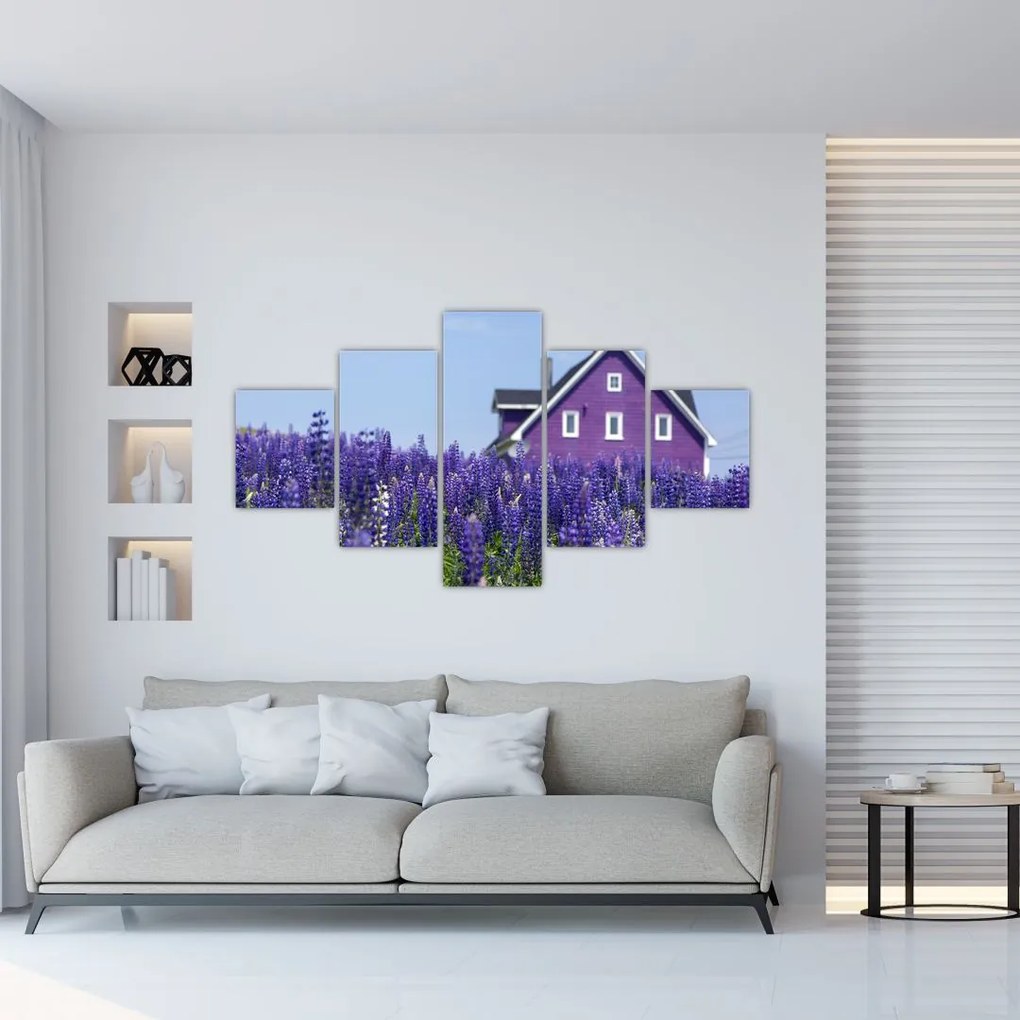 Obraz lawendowego pola (125x70 cm)