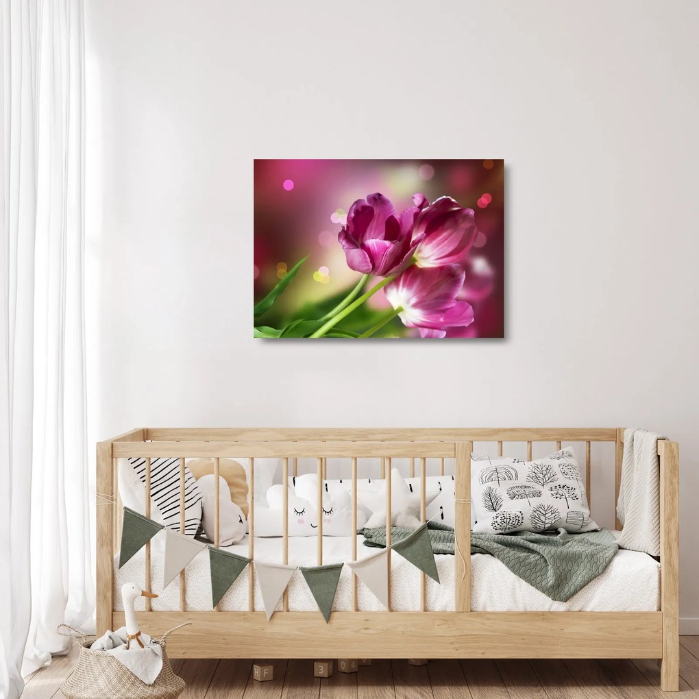 Obraz na szkle - różowe tulipany (70x50 cm)