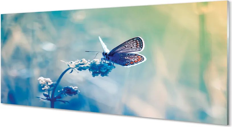 Panel Kuchenny Szklany Delikatność Barwnego Motyla