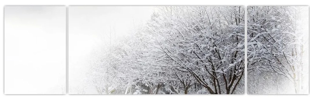 Obraz - Zimowa aleja (170x50 cm)