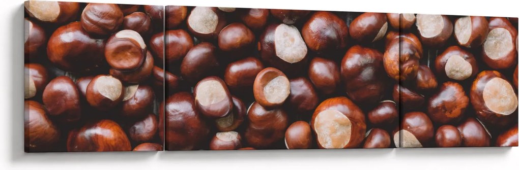 Obraz - Dojrzałe kasztany (170x50 cm)
