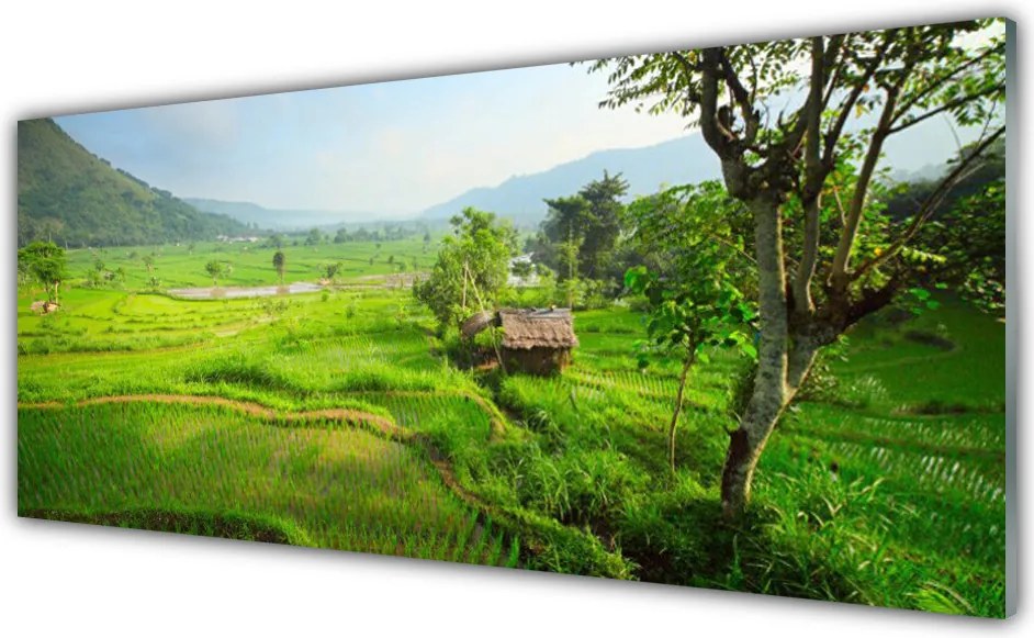 Szkło Dekoracyjne do Kuchni Sielska Zielona Łąka