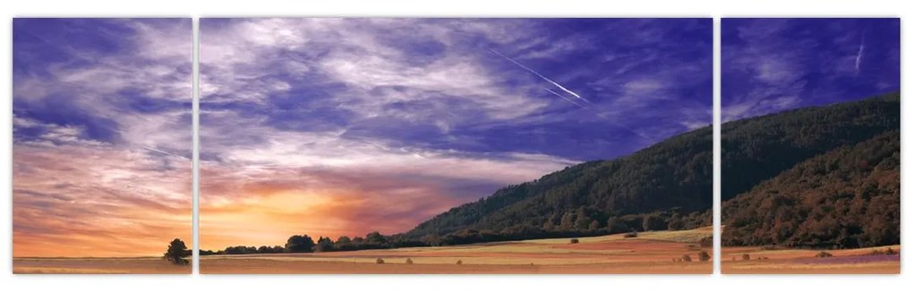 Obraz lawendowej łąki (170x50 cm)